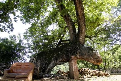 【这里是湖北】你好！建设村！ | 这个钟祥“边角村”藏着一座大宝藏……