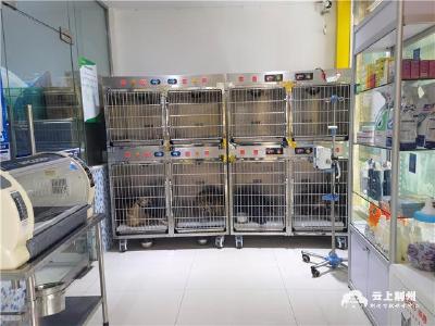 荆州市强力推进犬只狂犬病疫苗免疫接种
