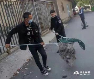【创文进行时】沙市公安文明养犬专项治理行动初见成效