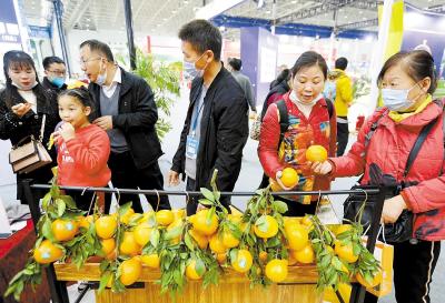 首届湖北农业博览会圆满收官 松滋市万家乡新鲜柑橘受追捧