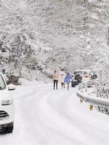 神农架滑雪季12月4日开启 