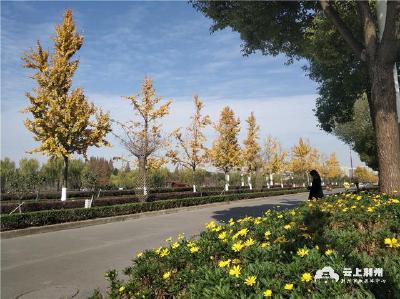 学习贯彻党的十九届六中全会精神丨坚持绿色发展 让荆州天更蓝水更清