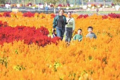 村民不种地就有收入，这个村子真神奇！