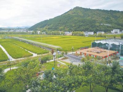 【这里是湖北】十堰：绘乡村振兴之景 望山看水更有韵