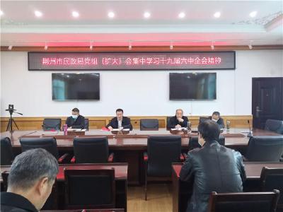 荆州市民政局传达学习党的十九届六中全会精神