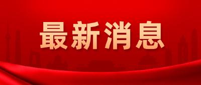 2021年华侨华人创业发展洽谈会在武汉开幕