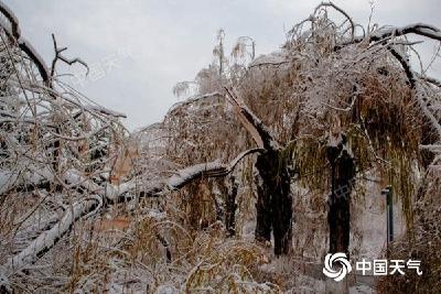 实力派冷空气又来！近20大城市降温将超10℃ 东北或再遭特大暴雪