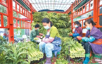 荆州“菜篮子”充足保供 还可辐射供应周边省市