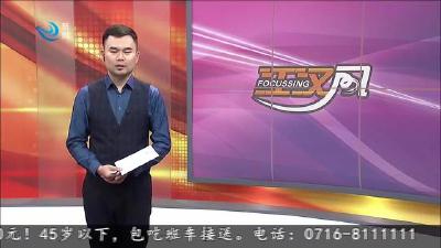 国家一级珍禽黑鹳翱翔洪湖江滩