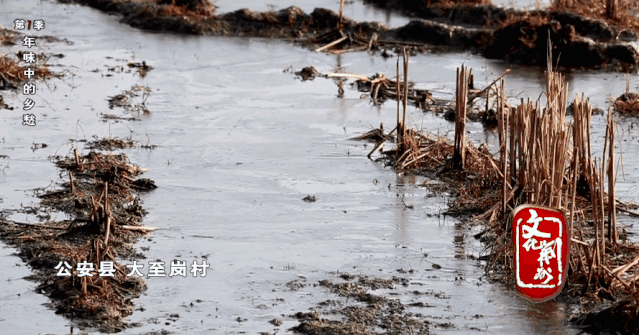 文化荆州 | 爹爹的苕皮子之味