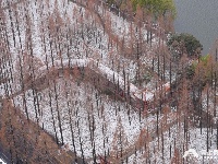 图集丨荆州今冬第一场雪，你爱了吗？