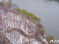 图集丨荆州今冬第一场雪，你爱了吗？