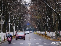 图集丨荆州今冬第一场雪，你爱了吗？