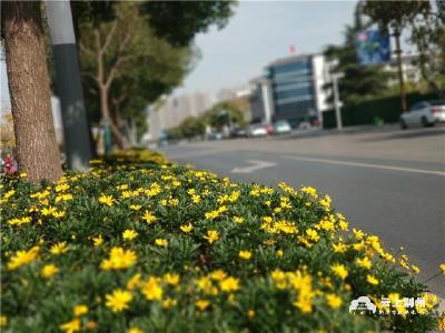 喜迎党代会 奋进新征程丨持续改善生态环境 让荆州天更蓝 水更清 城更美