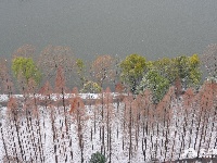 图集丨荆州今冬第一场雪，你爱了吗？