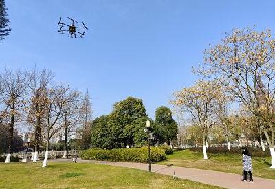 荆州市中山公园首次启动植保无人机“诊治护航”
