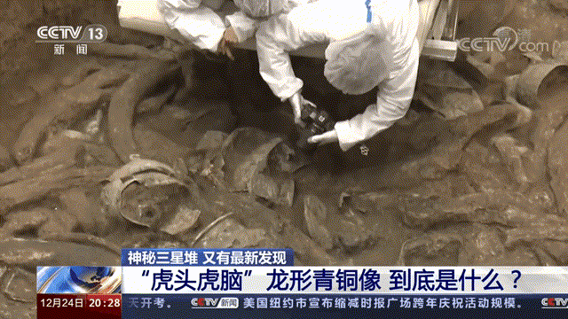 冲上热搜！三星堆发现一条虎头虎脑的青铜龙
