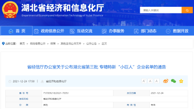 荆州56家企业入选省级第三批专精特新“小巨人”企业名单