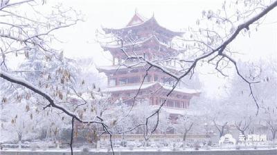 虎年的第一场雪来了！你赏雪了吗？