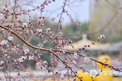 冷暖反转！多地累计降温或超20℃