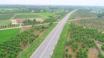 荆州：今年将建设农村公路1000公里
