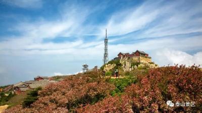 泰山景区3月20日起暂停开放