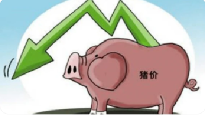 农业农村部：3、4月 猪价或跌至每斤6元谷底