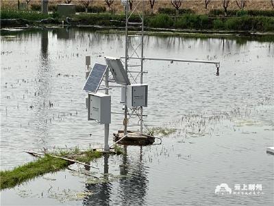 荆州：智慧气象服务助力农民增收