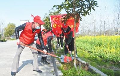 阳春三月植树忙 荆州各地广泛开展植树造林活动