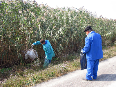 触目惊心！美国生物实验乱象祸害全球