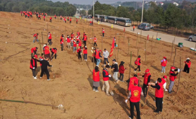 荆州高新区开展2022年义务植树活动