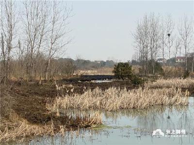 荆州处置100多起“野火”，风干物燥注意防火！