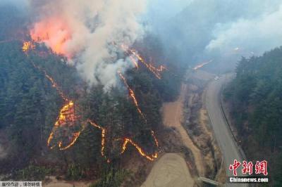韩国森林火灾过火面积逾2.1万公顷 重灾区增至四地