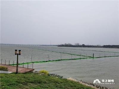荆州市长湖水生态修复工程启动