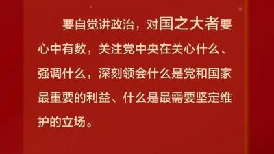 关于“国之大者”，总书记这样说