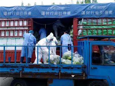 荆州长江大学20吨新鲜蔬菜驰援同济大学