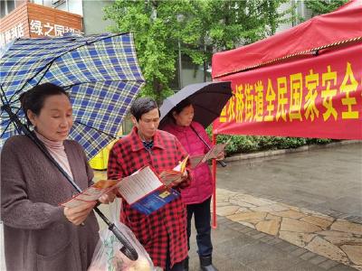 全民国家安全教育日|荆州开发区鱼农桥街道开展主题宣传活动