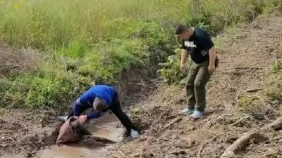 老人浑身泥泞倒在排水沟中  社区紧急救助