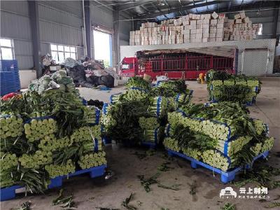 荆州：本地蔬菜大量上市，菜价逐步回落
