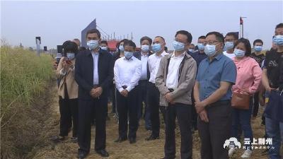 全国现场观摩会在荆召开 推进油菜产业链绿色高产高效发展