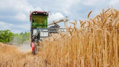 农业农村部：全力以赴抓好小麦机收和“三夏”生产 