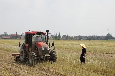 江陵：全力推进优质粮食工程，稳步提升粮食产能