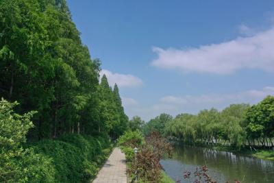 文明荆州丨同心创文 答题有我（市直单位组）第二轮