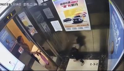 不满2岁女童坠亡，更多细节披露：窗台高度不到半米，电梯门仅开6秒