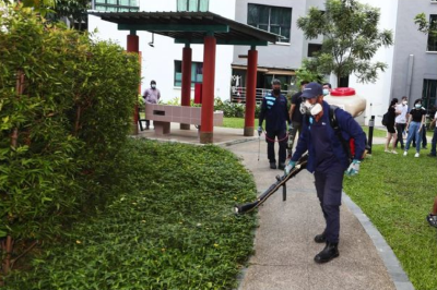 新加坡登革热疫情恶化