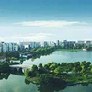 文明荆州丨同心创文 答题有我（沙市区）