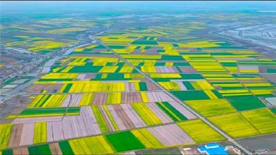 总投资72亿元 荆州山水林田湖草沙一体修复工程年内开工
