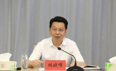 林晓峰被查