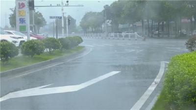 江陵县：积极应对强降雨 全力排水保通畅