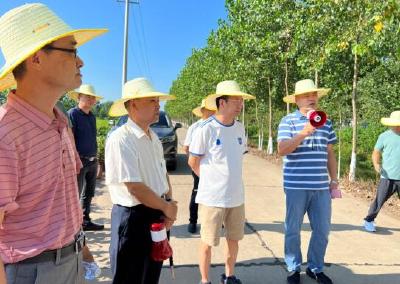 荆州市林科院指导公安县开展林业有害生物防控